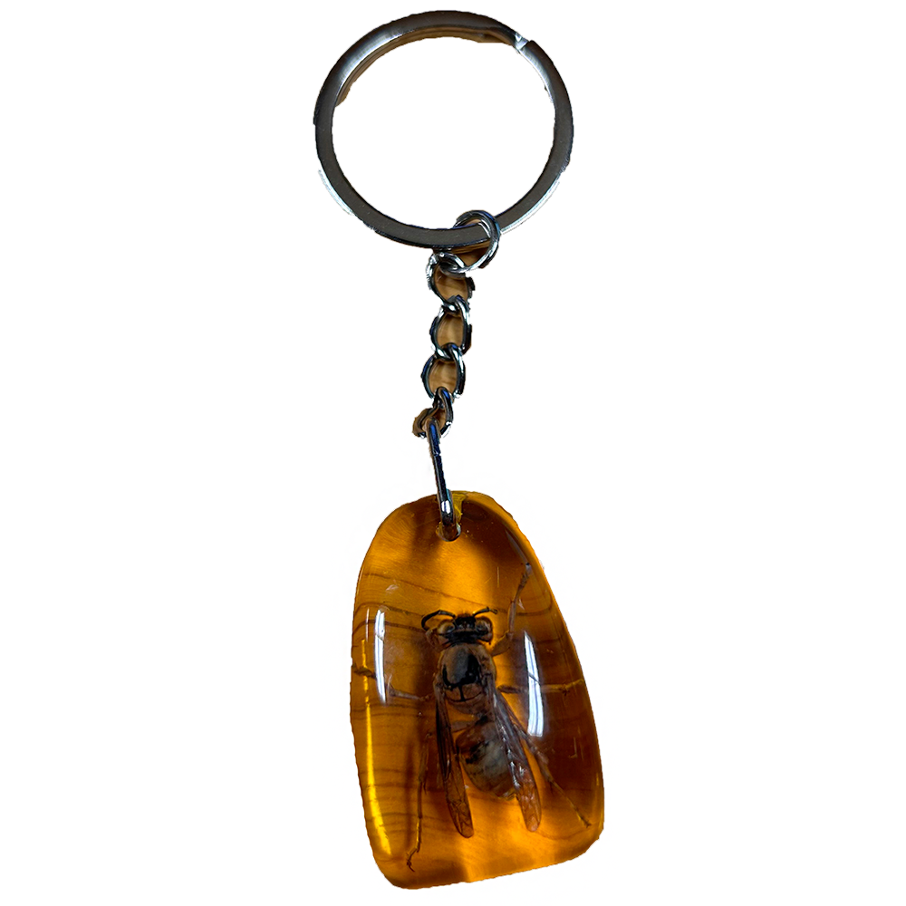 Insects in Amber, Natural Bug Keychain or Bag Charm - Unique Specimens for Collectors