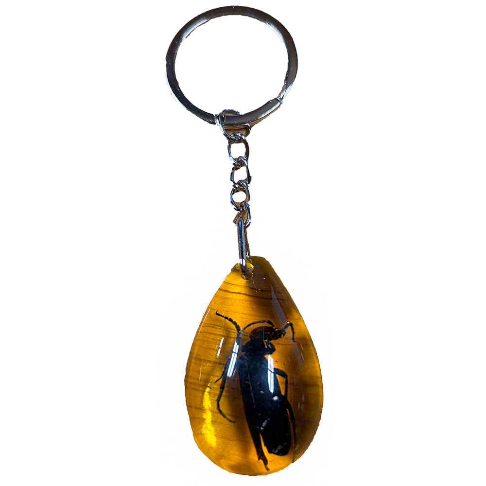 Insects in Amber, Natural Bug Keychain or Bag Charm - Unique Specimens for Collectors