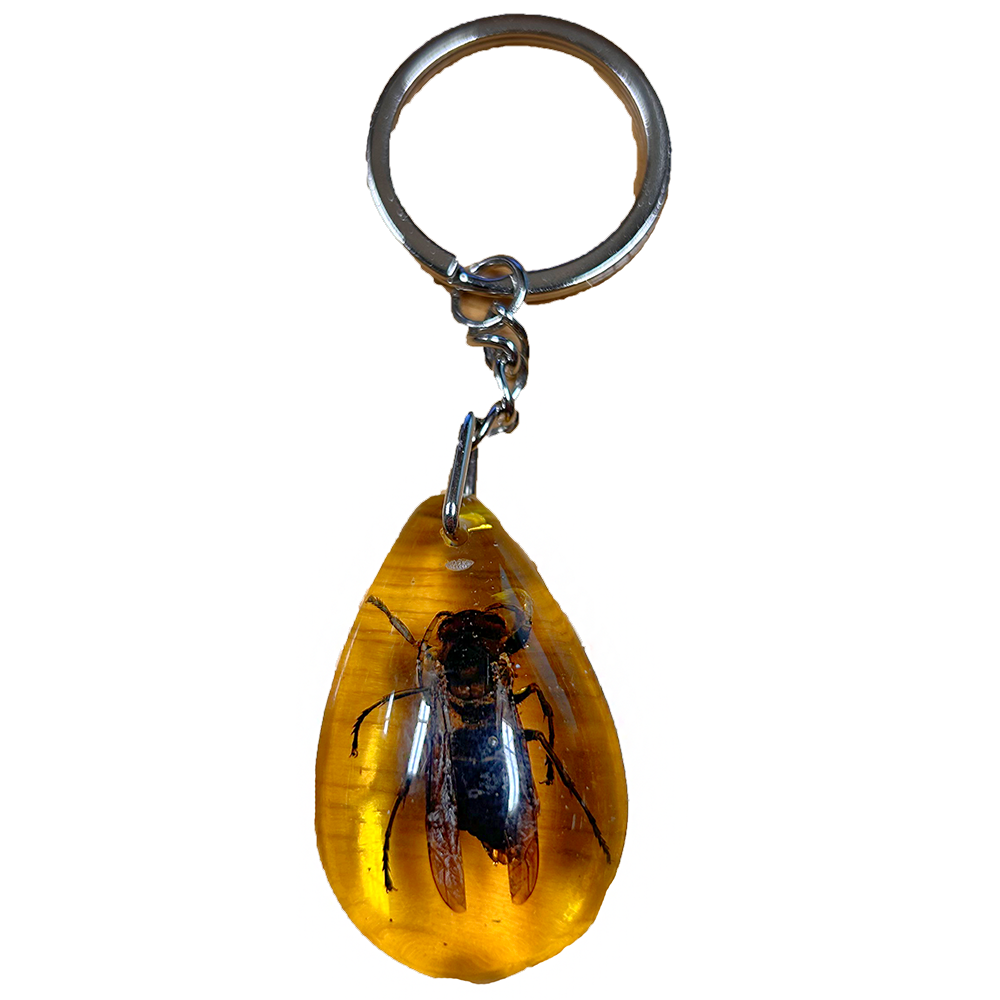 Insects in Amber, Natural Bug Keychain or Bag Charm - Unique Specimens for Collectors