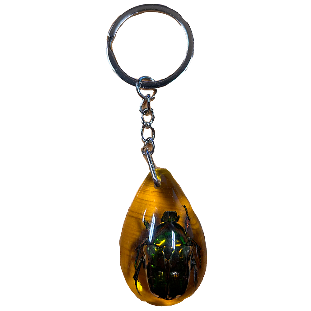 Insects in Amber, Natural Bug Keychain or Bag Charm - Unique Specimens for Collectors