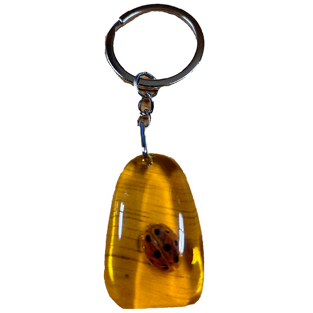 Insects in Amber, Natural Bug Keychain or Bag Charm - Unique Specimens for Collectors