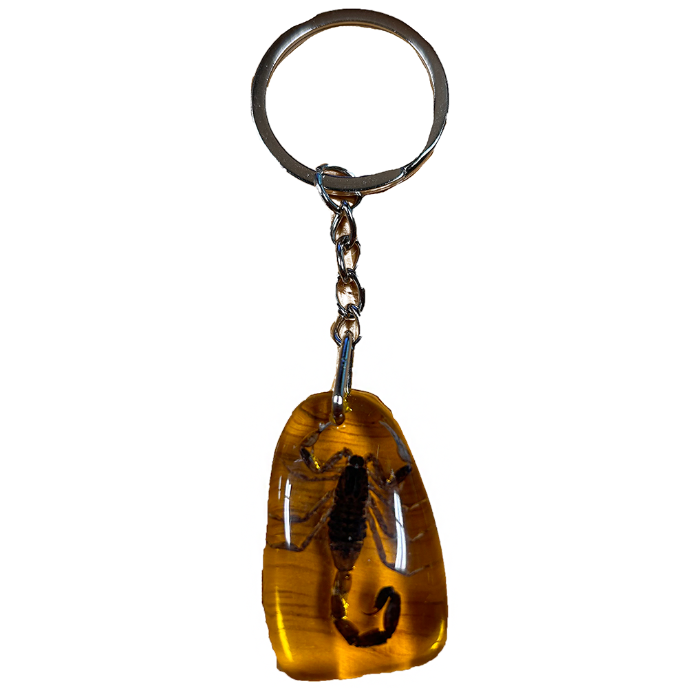 Insects in Amber, Natural Bug Keychain or Bag Charm - Unique Specimens for Collectors